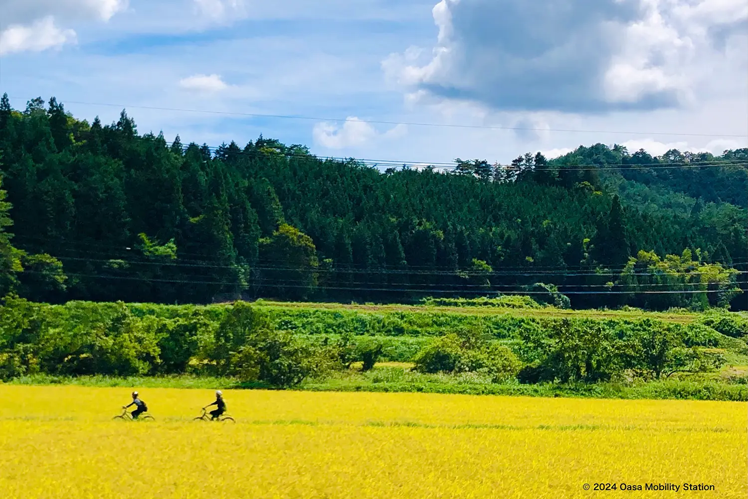 田の風景